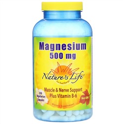 Nature's Life, Magnesium, 500 mg, 250 Vegetarian Capsules